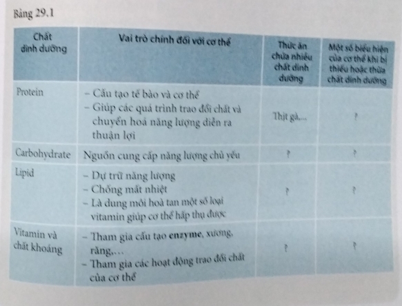 Bảng 29.1
n
ị
c