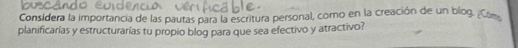 Considera la importancia de las pautas para la escritura personal, como en la creación de un blog. ¿Com 
planificarías y estructurarías tu propio blog para que sea efectivo y atractivo?