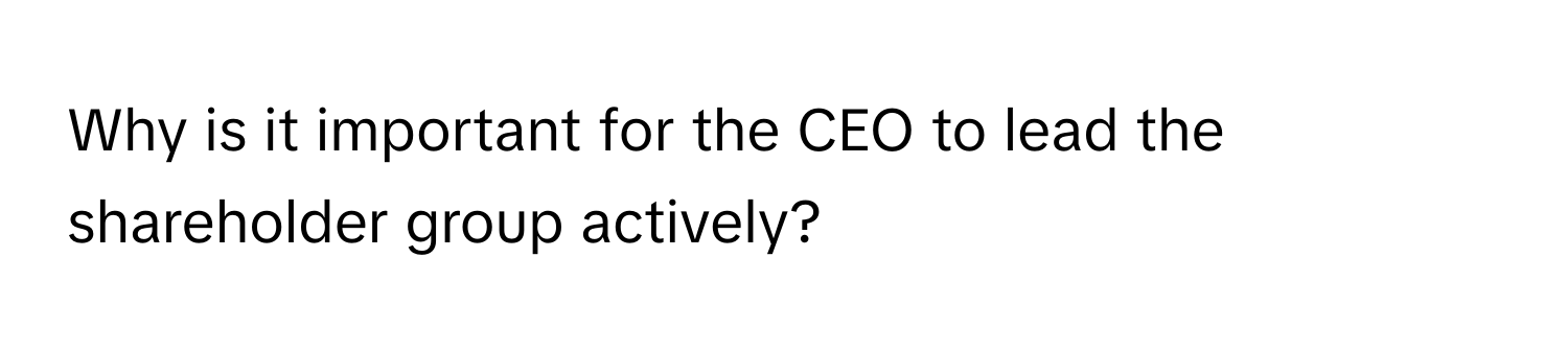 Why is it important for the CEO to lead the shareholder group actively?