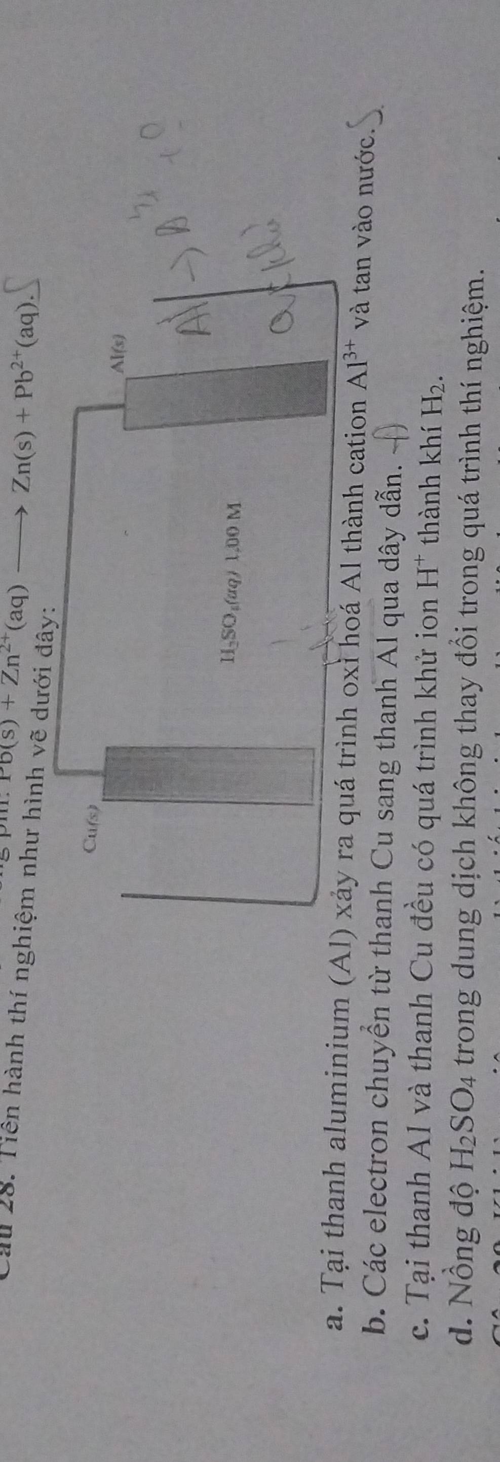 Pb(s)+Zn^(2+)(aq)to Zn(s)+Pb^(2+)(aq). 
Cầu 28. Tiên hành thí nghiệm như hình vẽ dưới đây: 
Cu(s)
Al(s)
H₂SO₃(aq) 1.00 M
a. Tại thanh aluminium (Al) xảy ra quá trình oxì hoá Al thành cation Al^(3+) và tan vào nước. 
b. Các electron chuyển từ thanh Cu sang thanh Al qua dây dẫn. 
c. Tại thanh AI và thanh Cu đều có quá trình khử ion H* thành khí H_2. 
g độ H_2SO_4 trong dung dịch không thay đổi trong quá trình thí nghiệm.