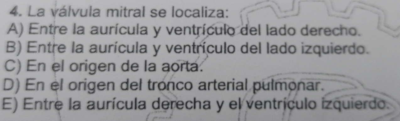 La válvula mitral se localiza:
A) Entre la aurícula y ventrículo del lado derecho.
B) Entre la aurícula y ventrículo del lado izquierdo.
C) En el origen de la aorta.
D) En el origen del tronco arterial pulmonar.
E) Entre la aurícula derecha y el ventrículo izquierdo.