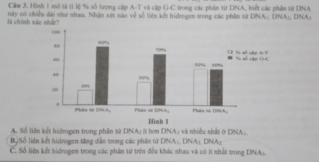 Hình 1 mô tả tỉ lệ % số lượng cặp A-T và cặp G-C trong các phân tử DNA, biết các phân tứ DNA
này có chiều dài như nhau. Nhận xét nào về số liên kết hidrogen trong các phân tử DNA_1,DNA_2 , DNA₃
là chính xác nhất?
A. Số liên kết hidrogen trong phân tử DNA_2 ít hơn DNA_3 và nhiều nhất ở DNA_1.
B) Số liên kết hidrogen tăng dần trong các phân tử DNA_1,DNA_3,DNA_2
C. Số liên kết hidrogen trong các phân tử trên đều khác nhau và có ít nhất trong DNA3.