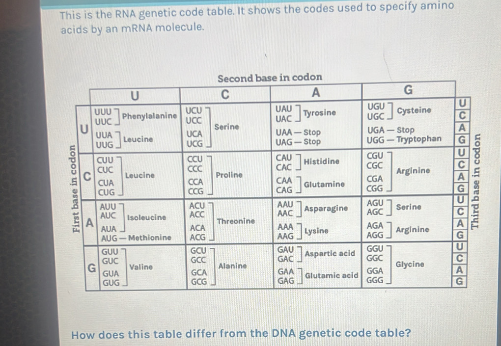 Solved: This is the RNA genetic code table. It shows the codes used to ...