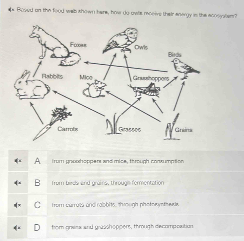 Solved: Based on the food web shown here, how do owls receive their ...