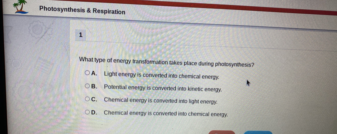 Photosynthesis & Respiration
1
What type of energy transformation takes place during photosynthesis?
A. Light energy is converted into chemical energy.
B. Potential energy is converted into kinetic energy.
C. Chemical energy is converted into light energy.
D. Chemical energy is converted into chemical energy.