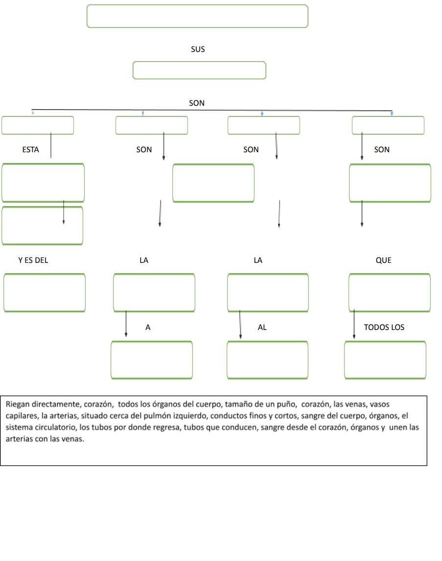 SUS 
SON 
ESTA SON SON SON 
Y ES DEL LA LA QUE 
A TODOS LOS 
AL 
Riegan directamente, corazón, todos los órganos del cuerpo, tamaño de un puño, corazón, las venas, vasos 
capilares, la arterias, situado cerca del pulmón izquierdo, conductos finos y cortos, sangre del cuerpo, órganos, el 
sistema circulatorio, los tubos por donde regresa, tubos que conducen, sangre desde el corazón, órganos y unen las 
arterias con las venas.