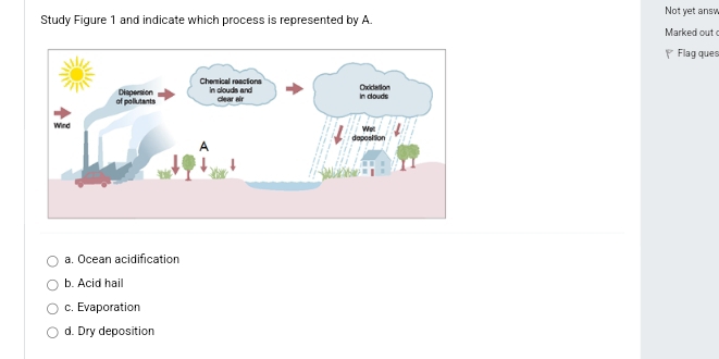 Not yet ans
Study Figure 1 and indicate which process is represented by A. Marked out 
Flag ques
a. Ocean acidification
b. Acid hail
c. Evaporation
d. Dry deposition