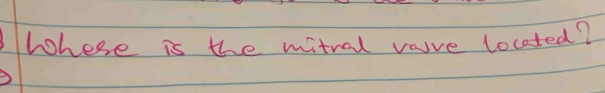 lohese is the mitral vaure located?