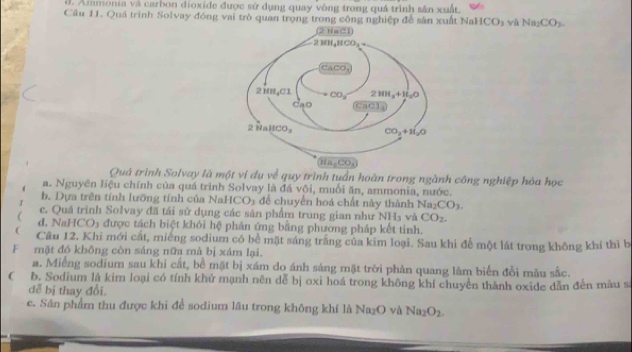 d. Ammonia và carbon dioxide được sử dụng quay vòng trong quá trình sân xuất.
Câu 11. Quá trình Solvay đóng vai trò quan trong trong công nghiệp đề sân xuất Na ICO_3 vù Na_2CO_3.
Quá trình Solvay là một ví đụ về quy trình tuần hoàn trong ngành công nghiệp hóa học
a. Nguyên liệu chính của quá trình Solvay là đá vôi, muối ăn, ammonia, nước.
b. Dựa trên tính lưỡng tính của NaH CO_3 để chuyển hoá chất này thành Na_2CO_3.
c. Quá trình Solvay đã tái sử dụng các sản phẩm trung gian như NH₃ và CO_2.
( đ. NaHCO₃ được tách biệt khỏi hệ phản ứng bằng phường pháp kết tinh.
( Cầu 12. Khi mới cắt, miếng sodium có bể mặt sáng trắng của kim loại. Sau khi để một lát trong không khí thì b
F mặt đó không còn sáng nữa mà bị xám lại.
a. Miếng sodium sau khi cất, bề mặt bị xám do ánh sáng mặt trời phản quang làm biển đổi màu sắc.
 b. Sodium là kim loại có tính khử mạnh nên dễ bị oxi hoá trong không khí chuyền thành oxide dẫn đến màu sĩ
dễ bị thay đổi.
e. Sân phẩm thu được khi để sodium lâu trong không khí là Na₂O và Na_2O_2.