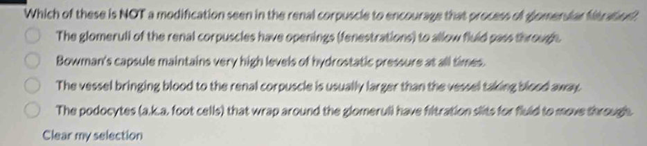 Which of these is NOT a modification seen in the renal corpuscle to encourage that process of glomerular fitration
The glomeruli of the renal corpuscles have openings (fenestrations) to allow fluld pass through.
Bowman's capsule maintains very high levels of hydrostatic pressure at all times.
The vessel bringing blood to the renal corpuscle is usually larger than the vessel taking blood away.
The podocytes (a.k.a, foot cells) that wrap around the glomerull have filtration slits for fluld to move through
Clear my selection