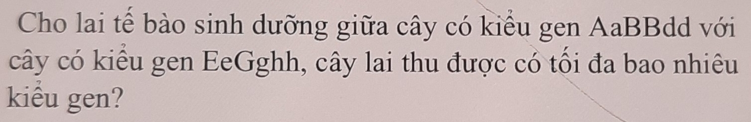 Cho lai tế bào sinh dưỡng giữa cây có kiểu gen AaBBdd với 
cây có kiều gen EeGghh, cây lai thu được có tối đa bao nhiêu 
kiểu gen?