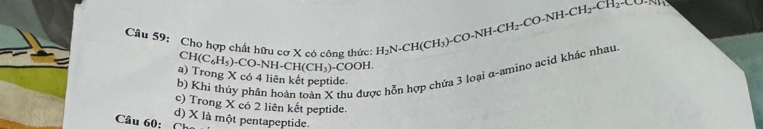 Cho hợp chất hữu cơ X có công thức: CH(C_6H_5)-CO-NH-CH(CH_3)-COOH.
H_2N-CH(CH_3)-CO-NH-CH_2-CO-NH-CH_2-CH_2-CO-NH_1
b) Khi thủy phân hoàn toàn X thu được hỗn hợp chứa 3 loại α-amino acid khác nhau. 
a) Trong X có 4 liên kết peptide. 
c) Trong X có 2 liên kết peptide. 
d) X là một pentapeptide. 
Câu 60: C