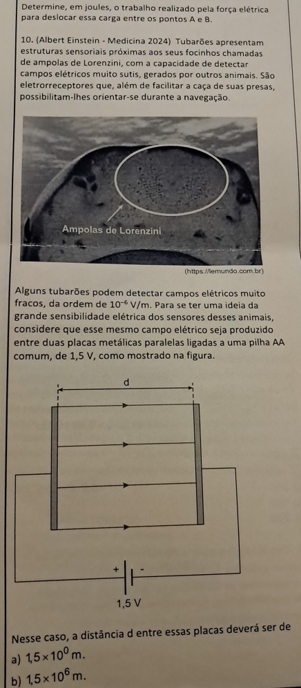 Determine, em joules, o trabalho realizado pela força elétrica 
para deslocar essa carga entre os pontos A e B. 
10. (Albert Einstein - Medicina 2024) Tubarões apresentam 
estruturas sensoriais próximas aos seus focinhos chamadas 
de ampolas de Lorenzini, com a capacidade de detectar 
campos elétricos muito sutis, gerados por outros animais. São 
eletrorreceptores que, além de facilitar a caça de suas presas, 
possibilitam-lhes orientar-se durante a navegação. 
Alguns tubarões podem detectar campos elétricos muito 
fracos, da ordem de 10^(-6)V/m. Para se ter uma ideia da 
grande sensibilidade elétrica dos sensores desses animais, 
considere que esse mesmo campo elétrico seja produzido 
entre duas placas metálicas paralelas ligadas a uma pilha AA 
comum, de 1,5 V, como mostrado na figura. 
Nesse caso, a distância d entre essas placas deverá ser de 
a) 1,5* 10^0m. 
b) 1,5* 10^6m.