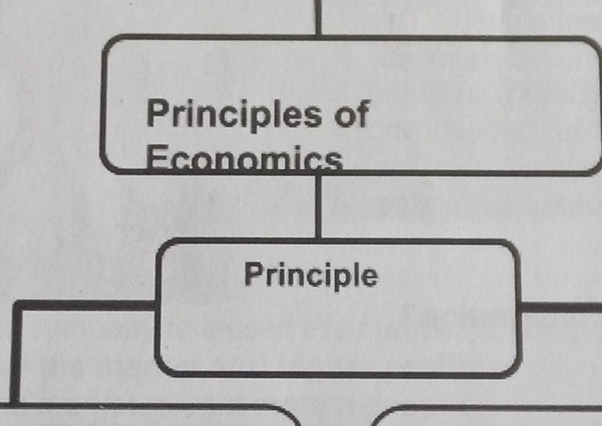 Principles of 
Economics 
Principle