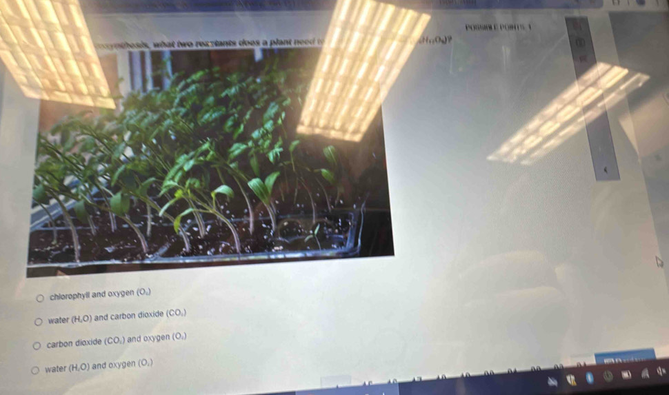 POSSIB E POHT½. 3
n hes what two res tants doos a p lant ee HrOP
chlorophyil and oxygen (O_1)
water (H,O) and carbon dioxide (CO_1)
carbon dioxide (CO_1) and oxygen (O_1)
water (H,O) and oxygen (O_2)