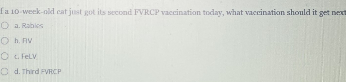 Solved: a 10-week -old cat just got its second FVRCP vaccination today ...