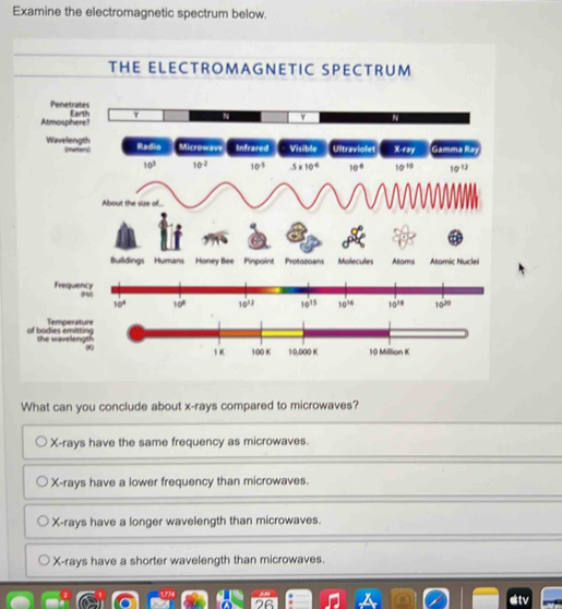 Examine the electromagnetic spectrum below.
THE ELECTROMAGNETIC SPECTRUM
Penetrates
Atmosphere? Earth
N Y N
Wavelength Umeters Radio Microwave Infrared Visible Ultraviolet X-ray Gamma Ray
10^3 10^2 10^(-5) 5* 10^(-6) 10° 10^(-10) 10^(-12)
About the size of..
Bulldings Humans Honey Bee Pinpoint Protonoans Molecules Atoms Atomic Nuclei
Frequ
Temperat
of bodies emitt the waveleng
00
What can you conclude about x-rays compared to microwaves?
X-rays have the same frequency as microwaves.
X-rays have a lower frequency than microwaves.
X-rays have a longer wavelength than microwaves.
X-rays have a shorter wavelength than microwaves.
OC
tv