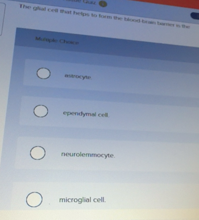 Solved: The glial cell that helps to form the blood-brain barrier is ...