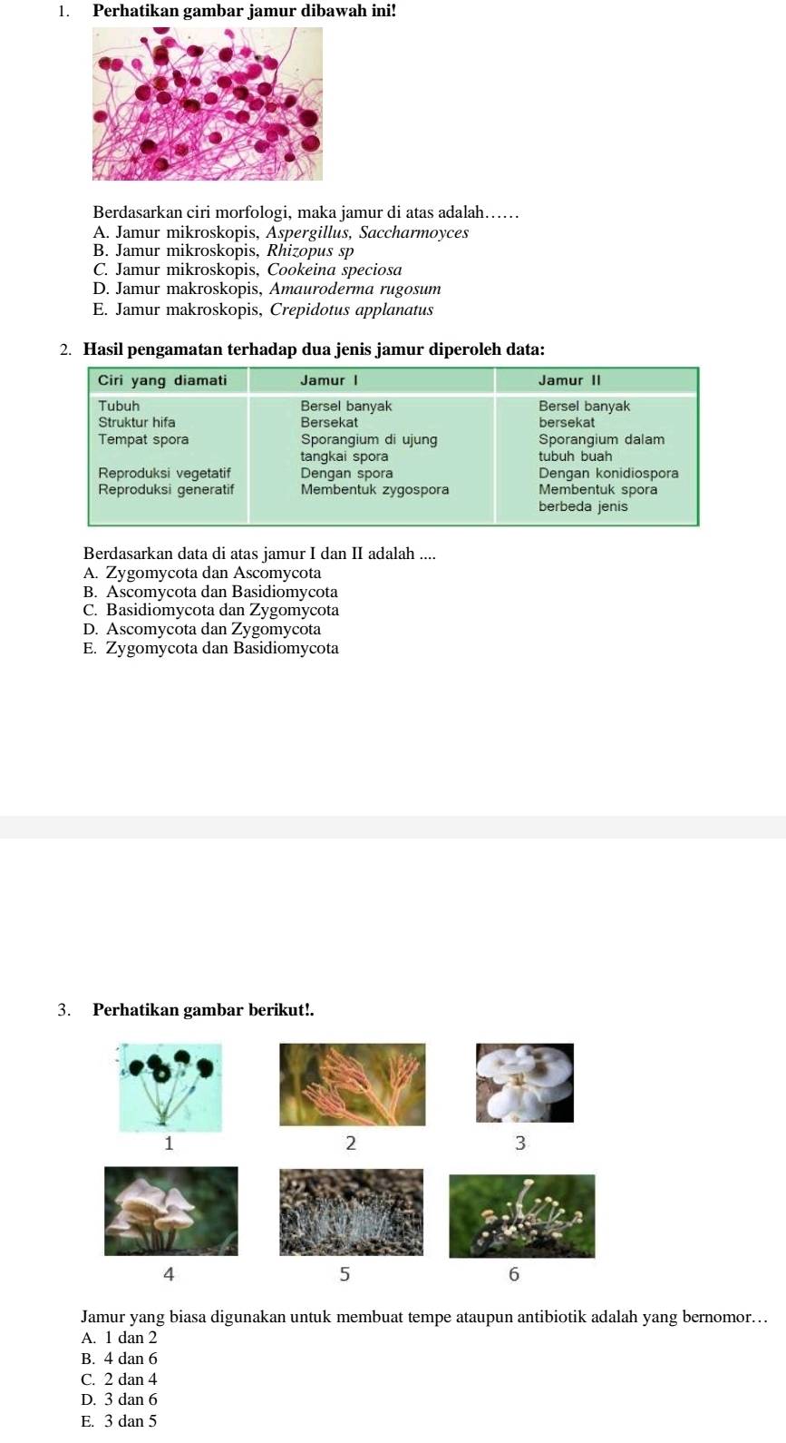 Perhatikan gambar jamur dibawah ini!
Berdasarkan ciri morfologi, maka jamur di atas adalah……
A. Jamur mikroskopis, Aspergillus, Saccharmoyces
B. Jamur mikroskopis, Rhizopus sp
C. Jamur mikroskopis, Cookeina speciosa
D. Jamur makroskopis, Amauroderma rugosum
E. Jamur makroskopis, Crepidotus applanatus
2. Hasil pengamatan terhadap dua jenis jamur diperoleh data:
Berdasarkan data di atas jamur I dan II adalah ....
A. Zygomycota dan Ascomycota
B. Ascomycota dan Basidiomycota
C. Basidiomycota dan Zygomycota
D. Ascomycota dan Zygomycota
E. Zygomycota dan Basidiomycota
3. Perhatikan gambar berikut!.
1
2
3
4
5
6
Jamur yang biasa digunakan untuk membuat tempe ataupun antibiotik adalah yang bernomor…
A. 1 dan 2
B. 4 dan 6
C. 2 dan 4
D. 3 dan 6
E. 3 dan 5