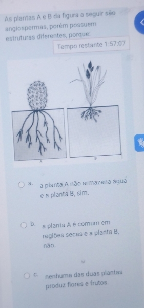 As plantas A e B da figura a seguir são
angiospermas, porém possuem
estruturas diferentes, porque:
Tempo restante 1:57:07
B
a. a planta A não armazena água
e a planta B, sim.
b. a planta A é comum em
regiões secas e a planta B,
não.
C. nenhuma das duas plantas
produz flores e frutos.