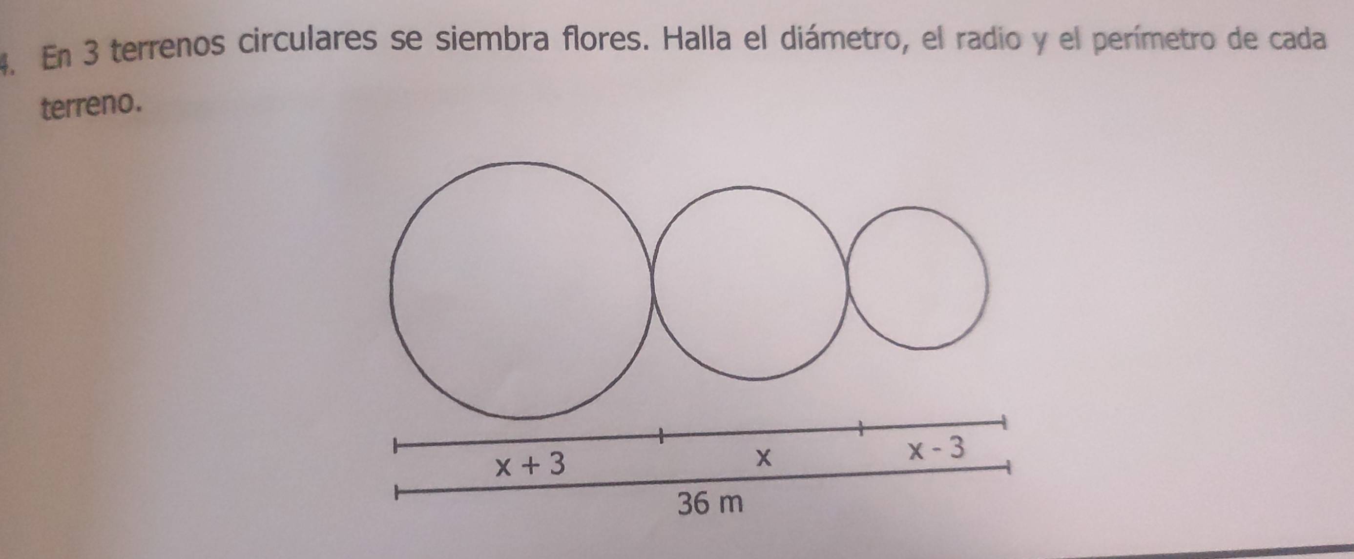 En 3 terrenos circulares se siembra flores. Halla el diámetro, el radio y el perímetro de cada
terreno.