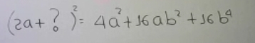 (2a+?)^2=4a^2+16ab^2+16b^4