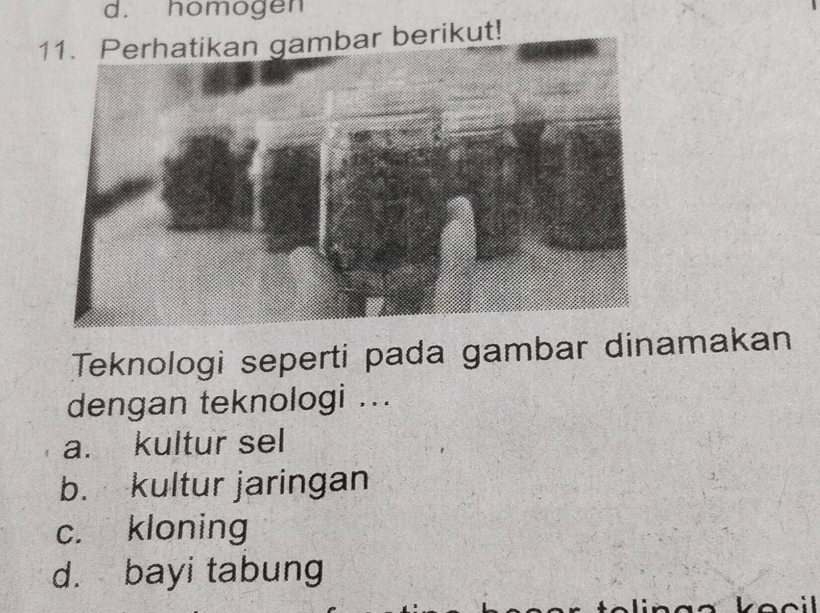 homogen
11. Perhatikan gambar berikut!
Teknologi seperti pada gambar dinamakan
dengan teknologi ...
a. kultur sel
b. kultur jaringan
c. kloning
d. bayi tabung
kocil