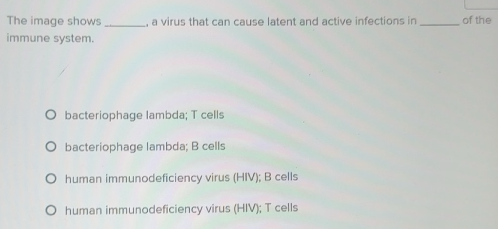 Solved: The image shows _, a virus that can cause latent and active ...