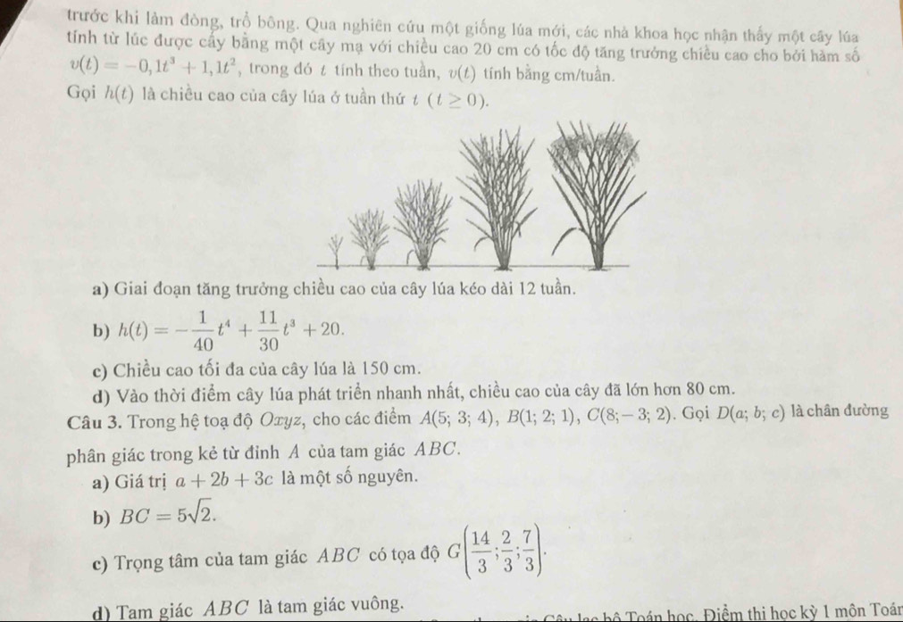 trước khi làm đòng, trồ bông. Qua nghiên cứu một giống lúa mới, các nhà khoa học nhận thấy một cây lúa
tính từ lúc được cấy bằng một cây mạ với chiều cao 20 cm có tốc độ tăng trưởng chiều cao cho bởi hàm số
v(t)=-0,1t^3+1, 1t^2 , trong đó t tính theo tuần, v(t) tính bằng cm/tuần.
Gọi h(t) là chiều cao của cây lúa ở tuần thứ t(t≥ 0).
a) Giai đoạn tăng trưởng chiều cao của cây lúa kéo dài 12 tuần.
b) h(t)=- 1/40 t^4+ 11/30 t^3+20.
c) Chiều cao tối đa của cây lúa là 150 cm.
d) Vào thời điểm cây lúa phát triển nhanh nhất, chiều cao của cây đã lớn hơn 80 cm.
Câu 3. Trong hệ toạ độ Oxyz, cho các điểm A(5;3;4), B(1;2;1), C(8;-3;2). Gọi D(a;b;c) là chân đường
phân giác trong kẻ từ đỉnh A của tam giác ABC.
a) Giá trị a+2b+3c là một số nguyên.
b) BC=5sqrt(2).
c) Trọng tâm của tam giác ABC có tọa độ G( 14/3 ; 2/3 ; 7/3 ).
d) Tam giác ABC là tam giác vuông.
Tô Toán học. Điềm thị học kỳ 1 môn Toán