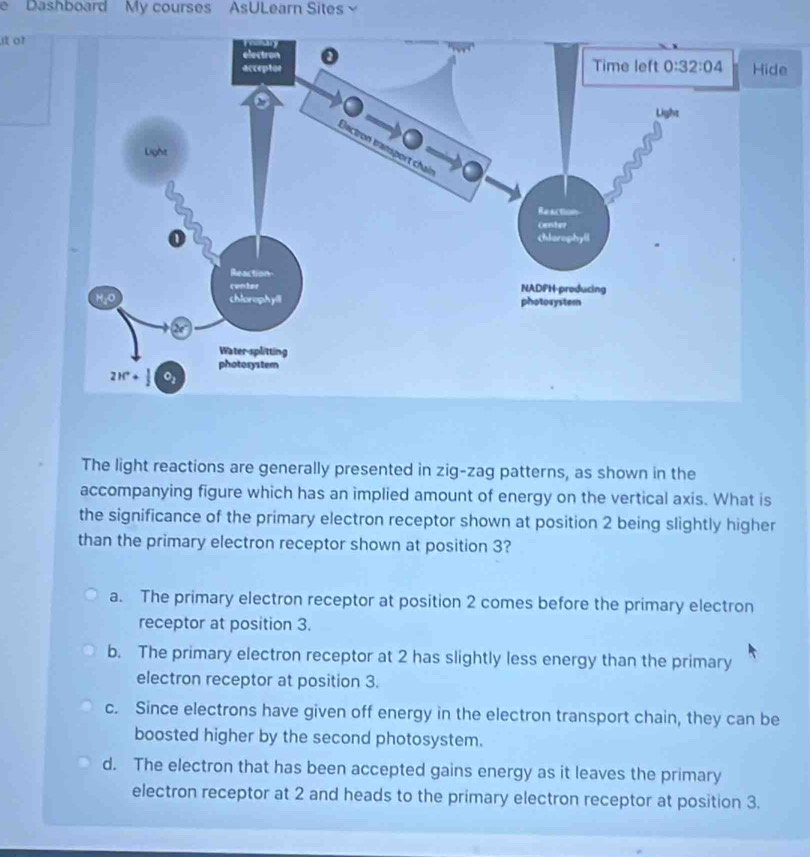 Dashboard My courses AsULearn Sites 
itor 
The light reactions are generally presented in zig-zag patterns, as shown in the
accompanying figure which has an implied amount of energy on the vertical axis. What is
the significance of the primary electron receptor shown at position 2 being slightly higher
than the primary electron receptor shown at position 3?
a. The primary electron receptor at position 2 comes before the primary electron
receptor at position 3.
b. The primary electron receptor at 2 has slightly less energy than the primary
electron receptor at position 3.
c. Since electrons have given off energy in the electron transport chain, they can be
boosted higher by the second photosystem.
d. The electron that has been accepted gains energy as it leaves the primary
electron receptor at 2 and heads to the primary electron receptor at position 3.