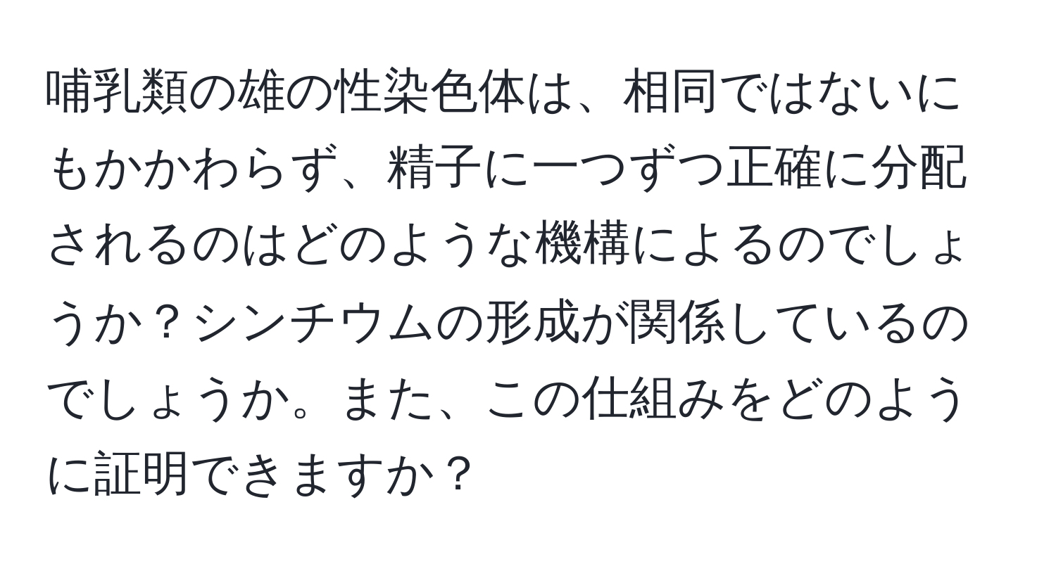 哺乳類の雄の性染色体は、相同ではないにもかかわらず、精子に一つずつ正確に分配されるのはどのような機構によるのでしょうか？シンチウムの形成が関係しているのでしょうか。また、この仕組みをどのように証明できますか？