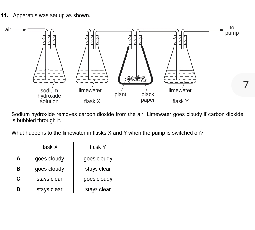 Apparatus was set up as shown. 
Sodium hydroxide removes carbon dioxide from the air. Limewater goes cloudy if carbon dioxide 
is bubbled through it. 
What happens to the limewater in flasks X and Y when the pump is switched on?