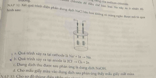 muong. 
Ng Hếng của sodium chloride. 
um chloride để điều chế kim loại Na xây ra ở nhiệt độ 
hình sau: 
NAP 32: Xét quá trình điện phân dung dịch NaCl bão hoà không có màng ngăn được mô tà qua 
a. Quá trình xảy ra tại cathode là Na^++1eto Na. 
b. Quá trình xảy ra tại anode là 2Clto Cto Cl_2+2e. 
c. Dung dịch thu được sau phản ứng là dung dịch NaOH. 
d. Cho mấu giấy màu vào dung dịch sau phản úng thấy mấu giấy mất màu. 
NA P 33: Cho sợ đồ thùng điện phân