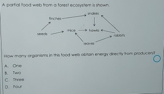 Solved: A partial food web from a forest ecosystem is shown. How many ...