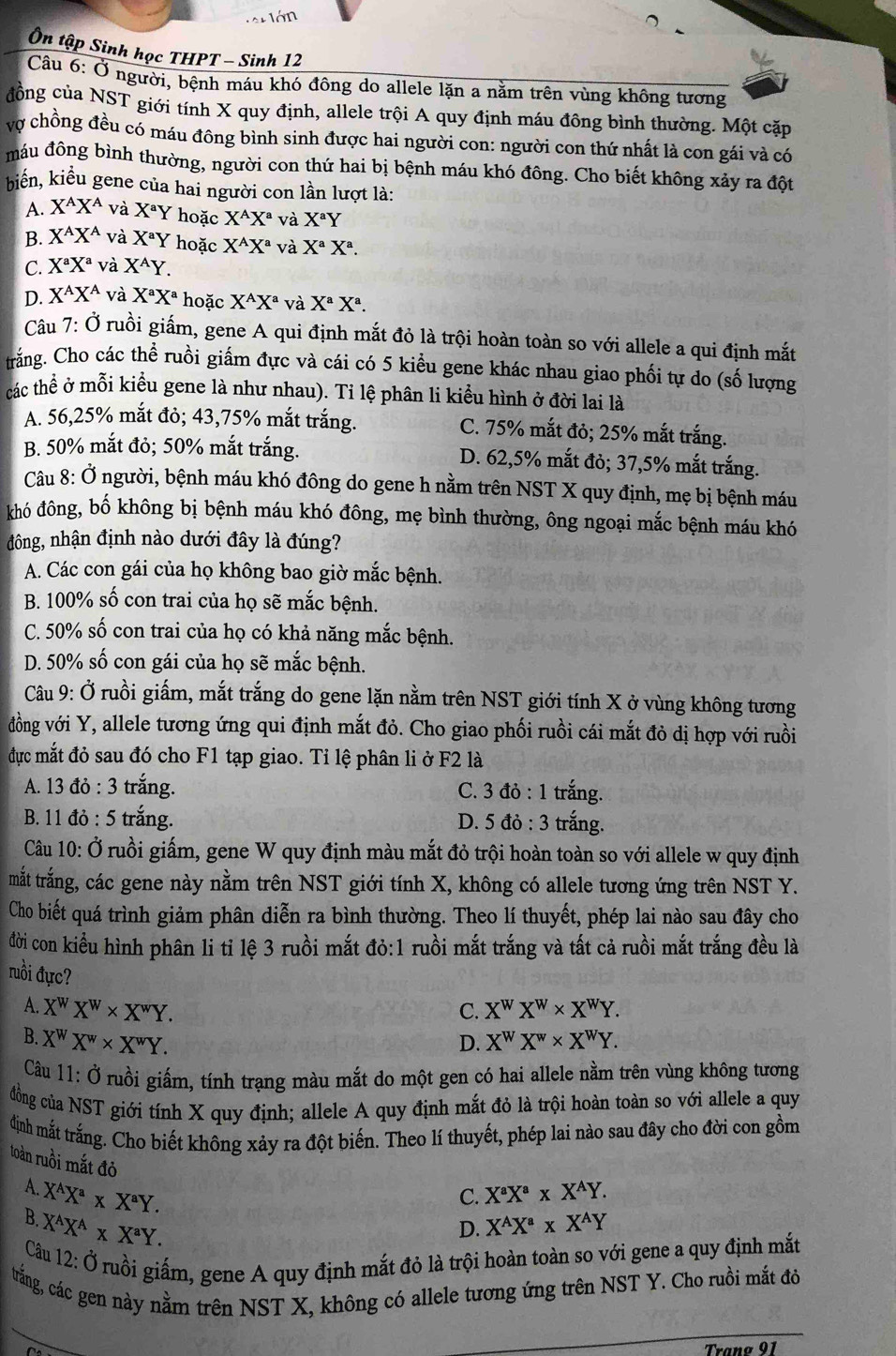 Ôn tập Sinh học THPT - Sinh 12
Câu 6: Ở người, bệnh máu khó đông do allele lặn a nằm trên vùng không tương
đồng của NST giới tính X quy định, allele trội A quy định máu đông bình thường. Một cặp
vợ chồng đều có máu đông bình sinh được hai người con: người con thứ nhất là con gái và có
máu đông bình thường, người con thứ hai bị bệnh máu khó đông. Cho biết không xảy ra đột
biến, kiểu gene của hai người con lần lượt là:
A. X^AX^A và X^aY hoặc X^AX^a và X^aY
B. X^AX^A và X^aY hoặc X^AX^a và X^aX^a.
C. X^aX^a và X^AY.
D. X^AX^A và X^aX^a hoặc X^AX^a và X^aX^a.
Câu 7: Ở ruồi giấm, gene A qui định mắt đỏ là trội hoàn toàn so với allele a qui định mắt
trăng. Cho các thể ruồi giấm đực và cái có 5 kiểu gene khác nhau giao phối tự do (số lượng
các thể ở mỗi kiểu gene là như nhau). Tỉ lệ phân li kiểu hình ở đời lai là
A. 56,25% mắt đỏ; 43,75% mắt trắng. C. 75% mắt đỏ; 25% mắt trắng.
B. 50% mắt đỏ; 50% mắt trắng. D. 62,5% mắt đỏ; 37,5% mắt trắng.
Câu 8: Ở người, bệnh máu khó đông do gene h nằm trên NST X quy định, mẹ bị bệnh máu
khó đông, bố không bị bệnh máu khó đông, mẹ bình thường, ông ngoại mắc bệnh máu khó
đông, nhận định nào dưới đây là đúng?
A. Các con gái của họ không bao giờ mắc bệnh.
B. 100% số con trai của họ sẽ mắc bệnh.
C. 50% số con trai của họ có khả năng mắc bệnh.
D. 50% số con gái của họ sẽ mắc bệnh.
Câu 9: Ở ruồi giấm, mắt trắng do gene lặn nằm trên NST giới tính X ở vùng không tương
đồng với Y, allele tương ứng qui định mắt đỏ. Cho giao phối ruồi cái mắt đỏ dị hợp với ruồi
đực mắt đỏ sau đó cho F1 tạp giao. Tỉ lệ phân li ở F2 là
A. 13 đỏ : 3 trắng. C. 3 đỏ : 1 trắng.
B. 11 đỏ : 5 trắng. D. 5d lỏ : 3 trắng.
Câu 10: Ở ruồi giấm, gene W quy định màu mắt đỏ trội hoàn toàn so với allele w quy định
mắt trắng, các gene này nằm trên NST giới tính X, không có allele tương ứng trên NST Y.
Cho biết quá trình giảm phân diễn ra bình thường. Theo lí thuyết, phép lai nào sau đây cho
đời con kiểu hình phân li tỉ lệ 3 ruồi mắt đỏ:1 ruồi mắt trắng và tất cả ruồi mắt trắng đều là
ruồi đực?
A. X^WX^W* X^wY. C. X^WX^W* X^WY.
B. X^WX^w* X^wY.
D. X^WX^w* X^WY.
Câu 11: Ở ruồi giấm, tính trang màu mắt do một gen có hai allele nằm trên vùng không tương
đồng của NST giới tính X quy định; allele A quy định mắt đỏ là trội hoàn toàn so với allele a quy
định mắt trắng. Cho biết không xảy ra đột biến. Theo lí thuyết, phép lai nào sau đây cho đời con gồm
toàn ruồi mắt đỏ D. X^AX^a* X^AY
A. X^AX^a* X^aY. X^aX^a* X^AY.
C.
B. X^AX^A* X^aY.
Câu 12: Ở ruồi giấm, gene A quy định mắt đỏ là trội hoàn toàn so với gene a quy định mắt
trắng, các gen này nằm trên NST X, không có allele tương ứng trên NST Y. Cho ruồi mắt đờ
Tranø 91