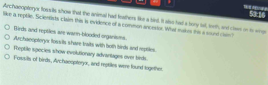 a 、
TVE Resan
53:16
Archaeopteryx fossils show that the animal had feathers like a bird. It also had a bony fail, teeth, and claws on its wings
like a reptile. Scientists claim this is evidence of a common ancestor. What makes this a sound claim?
Birds and reptiles are warm-blooded organisms.
Archaeopteryx fossils share traits with both birds and reptiles.
Reptile species show evolutionary advantages over birds.
Fossils of birds, Archaeopteryx, and reptiles were found together.