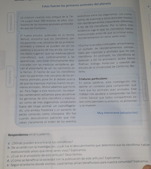 Estos fueron los primeros animales del planeta
4.
La criatura viviente más antigua de la Tie- evolutivos entre los organismos. Los cromo.
rra surgió hace 700 millones de años. Eva- somas de esponjas y otros animales mostra
lucionó de los mismos animales primordia ron reordenamientos claramente diferentes
 les que los humanos.
a los de los ctenóforos. Por lo tanto, esta
evidencia sugirió que los ctenóforos habian
El nuevo estudio, publicado en la revista evolucionado antes de que ocurrieran estos
Nature, encontró que los ctenóforos son
los parientes más cercanos de los primeros reordenamientos en otros seres vivos
animales y todavía se pueden ver en los «Esa fue la prueba irrefutable: encontramos
océanos y acuarios de hoy en día. Los nue un puñado de reordenamientos compar
vos datos sugieren que las medusas peine tidos por esponjas y animales que no son
(ctenóforos), que, contrariamente a las ctenóforos. En contraste, los ctenóforos se
apariencias, solo están mínimamente rela-
cionadas con las medusas verdaderas, ga- parecían a los no animales», aclara Daniell
nan el estandarte de ser los «primeros en  Rokhsar, biólogo molecular y coautor del
la tierra». El hecho de que los ctenóforos keley estudio de la Universidad de California, Ber-
sean los parientes más cercanos de los pr
meros animales pone fin al debate acerca Criaturas particulares
de que las esponjas marinas fueron los pri En pocas palabras, esta investigación nos
meros animales. Ahora sabemos que no es aporta un contexto para comprender qué
así. Para llegar a esta resolución, los exper- hace que los animales sean animales. Este
tos combinarón esfuerzos para secuenciar trabajo nos ayudará a comprender las fun-
los genomas de otro ctenóforo y esponja, ciones básicas que todos compartimos so-
así como de tres organismos unicelulares bre cómo perciben su entorno, se alimentan
fuera del linaje animal: un coanoflagela- y se mueven
do, una ameba filasterea y un parásito de
peces conocido como ictiospora. Ahí fue Muy Interesante (adaptación)
cuando descubrieron patrones que indi-
caban claramente el orden de los eventos
Respondemos en el cuaderno.
a. ¿Dónde pueden encontrarse los ctenóforos?
b. De acuerdo con la investigación, ¿cuál fue el descubrimiento que determinó que los ctenóforos habian
evolucionado antes que otros seres vivos? Explicamos.
c. ¿Cuál es el propósito de este artículo? Describimos.
d. ¿Cómo se beneficia la sociedad con la publicación de este artículo? Explicamos.
e. Según el entorno donde vivimos, ¿qué temas serían beneficiosos para nuestra comunidad? Explicamos.