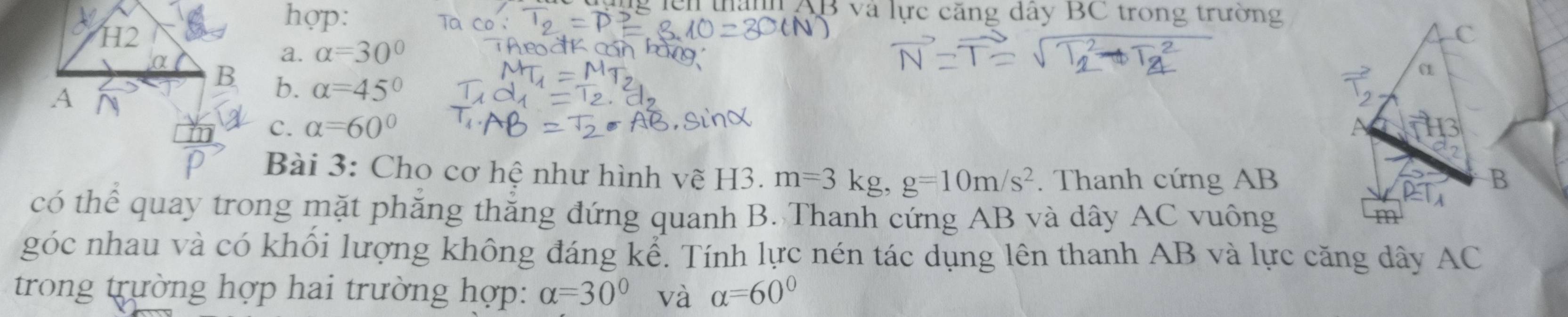 hợp:
g lên thàn AB và lực căng dây BC trong trường
a. alpha =30°
b. alpha =45°
C. alpha =60°
Bài 3: Cho cơ hệ như hình vẽ H3. m=3kg, g=10m/s^2. Thanh cứng AB
có thể quay trong mặt phăng thắng đứng quanh B. Thanh cứng AB và dây AC vuông
góc nhau và có khối lượng không đáng kể. Tính lực nén tác dụng lên thanh AB và lực căng dây AC
trong trường hợp hai trường hợp: alpha =30° và alpha =60°