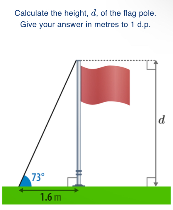 Calculate the height, d, of the flag pole.
Give your answer in metres to 1 d.p.