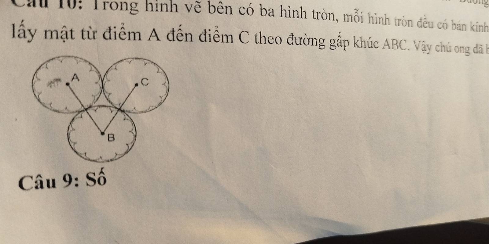 ău 10: Trong hình vẽ bên có ba hình tròn, mỗi hình tròn đều có bán kính 
lấy mật từ điểm A đến điểm C theo đường gấp khúc ABC. Vậy chú ong đã b
Chat au9:Shat o