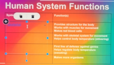 Human System Functions