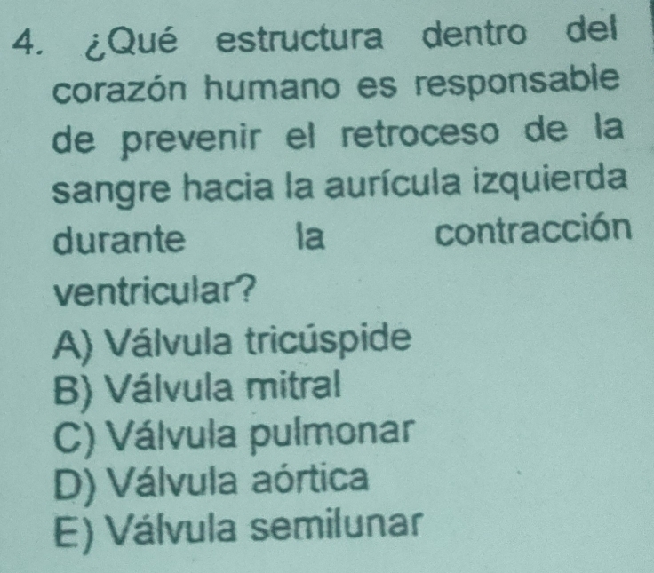 ¿Qué estructura dentro del
corazón humano es responsable
de prevenir el retroceso de la
sangre hacia la aurícula izquierda
durante la contracción
ventricular?
A) Válvula tricúspide
B) Válvula mitral
C) Válvula pulmonar
D) Válvula aórtica
E) Válvula semilunar