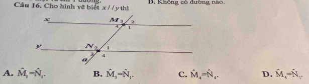 Cầu 16. Cho hình vẽ biết x//ythi D. Không có đường nào.
A. hat M_1=hat N_1. B. hat M_3=hat N_1. C. hat M_4=hat N_4. D. hat M_4=hat N_t.