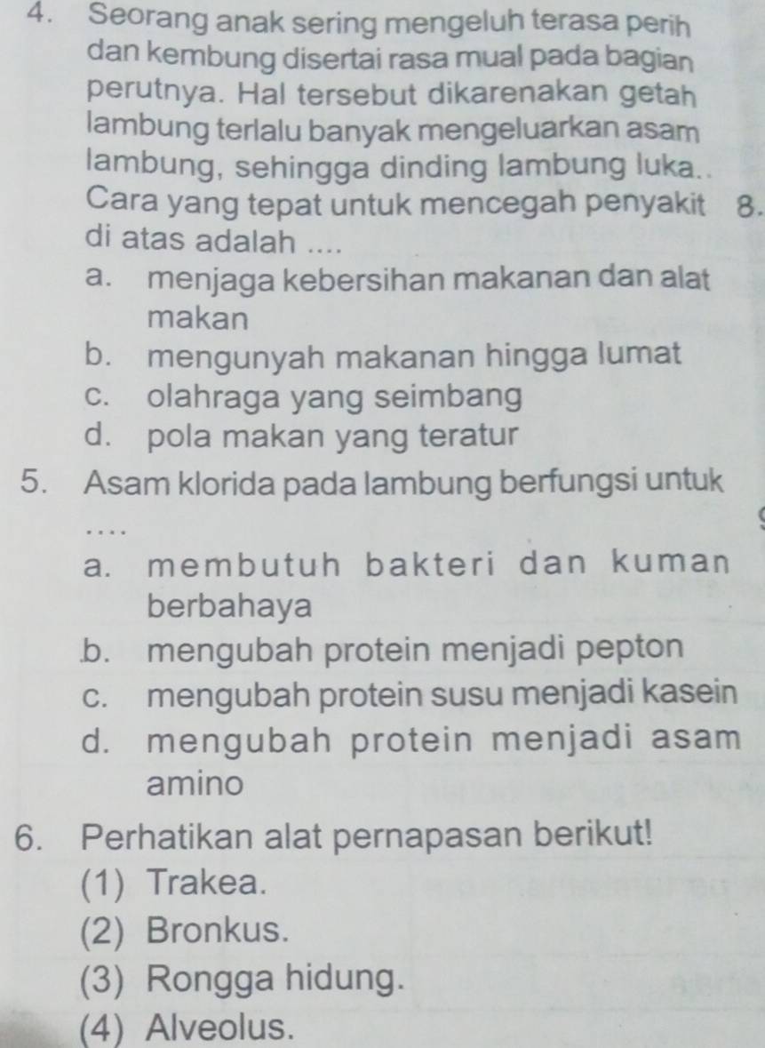 Seorang anak sering mengeluh terasa perih
dan kembung disertai rasa mual pada bagian
perutnya. Hal tersebut dikarenakan getah
lambung terlalu banyak mengeluarkan asam
lambung, sehingga dinding lambung luka.
Cara yang tepat untuk mencegah penyakit 8.
di atas adalah ....
a. menjaga kebersihan makanan dan alat
makan
b. mengunyah makanan hingga lumat
c. olahraga yang seimbang
d. pola makan yang teratur
5. Asam klorida pada lambung berfungsi untuk
. . .
a. membutuh bakteri dan kuman
berbahaya.b. mengubah protein menjadi pepton
c. mengubah protein susu menjadi kasein
d. mengubah protein menjadi asam
amino
6. Perhatikan alat pernapasan berikut!
(1) Trakea.
(2) Bronkus.
(3) Rongga hidung.
(4) Alveolus.