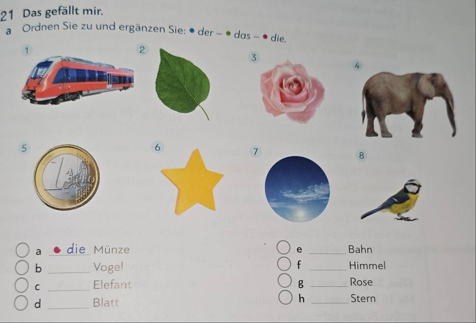 Das gefällt mir. 
a Ordnen Sie zu und ergänzen Sie: ● der − ● das - ● die.
1
2
5
7
8
a die Münze _Bahn 
e 
b _Voge! f _Himmel 
_C 
Elefant g _Rose 
d _Blatt h _Stern