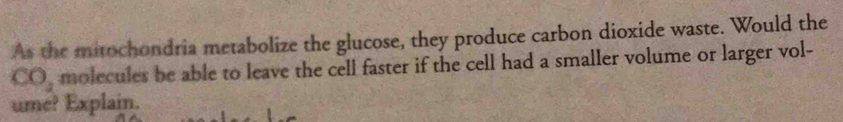 As the mitochondria metabolize the glucose, they produce carbon dioxide waste. Would the
CO_2 molecules be able to leave the cell faster if the cell had a smaller volume or larger vol- 
ume? Explain.