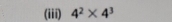 (iii) 4^2* 4^3