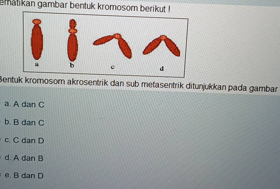 erhatıkan gambar bentuk kromosom berikut !
Bentuk kromosom akrosentrik dan sub metasentrik ditunjukkan pada gambar
a. A dan C
b. B dan C
c. C dan D
d. A dan B
e. B dan D