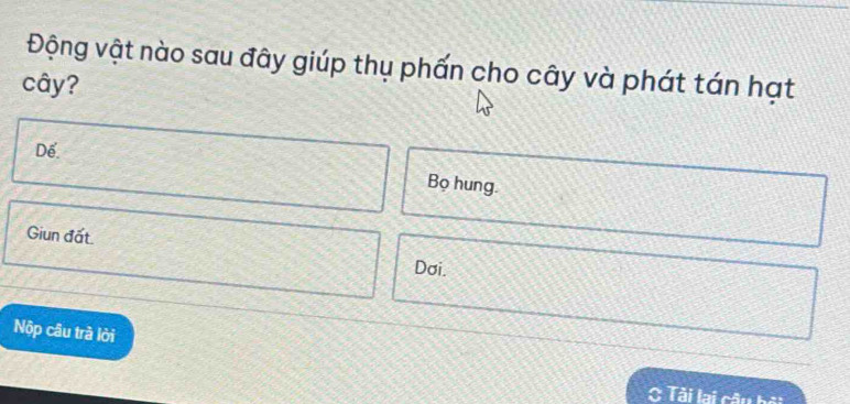 Động vật nào sau đây giúp thụ phấn cho cây và phát tán hạt
cây?
Dế.
Bọ hung.
Giun đất.
Dơi.
Nộp câu trà lời
C Tài lai câu bởi