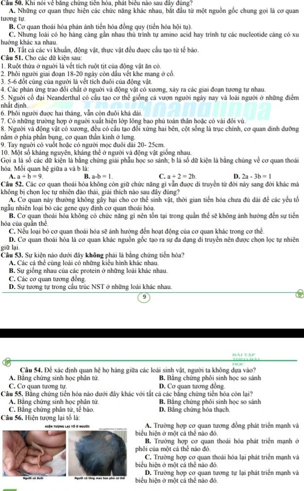 Cầu 50. Khi nói về băng chứng tiên hóa, phát biểu nào sau đây đùng?
A. Những cơ quan thực hiện các chức năng khác nhau, bắt đầu từ một nguồn gốc chung gọi là cơ quan
tương tự.
B. Cơ quan thoái hóa phân ánh tiến hóa đồng quy (tiến hóa hội tụ).
C. Nhưng loài có họ hàng càng gần nhau thù trình tự amino acid hay trình tự các nucleotide càng có xu
huớng khác xa nhau
D. Tất cả các vi khuẩn, động vật, thực vật đều được cầu tạo từ tế bảo.
Câu 51. Cho các dữ kiện sau:
1. Ruột thừa ở nguời là vết tích ruột tịt của động vật ăn có.
2. Phối người giai đoạn 18-20 ngày còn dấu vết khe mang ở cổ.
3. 5-6 đốt cùng của người là vết tích đuôi của động vật.
4. Các phán ứng trao đổi chất ở nguời và động vật có xương, xảy ra các giai đoạn tương tự nhau.
5. Người cổ đại Neanderthal có cấu tạo cơ thể giống cả vượn người ngày nay và loài người ở những điểm
nhất định
6. Phôi người đuợc hai tháng, vẫn còn đuôi khá dài,
7. Có những trường hợp ở nguời xuất hiện lớp lồng bao phủ toàn thân hoặc có vài đôi vú.
8. Người và động vật có xương, đều có cấu tạo đổi xứng hai bên, cột sống là trục chính, cơ quan dinh dưỡng
nằm ở phía phần bụng, cơ quan thần kinh ở lưng.
9. Tay nguời có vuột hoặc có người mọc đuôi dài 20- 25cm.
10. Một số kháng nguyên, kháng thể ở người và động vật giống nhau.
Gọi a là số các dữ kiện là bằng chứng giải phẫu học so sánh; b là số dữ kiện là bằng chúng về cơ quan thoái
hóa. Mối quan hệ giữa a và b là:
A. a+b=9. B. a-b=1. C. a+2=2b. D. 2a-3b=1
Câu 52. Các cơ quan thoái hóa không còn giữ chức năng gì vẫn đuợc di truyền từ đời này sang đời khác mả
không bị chọn lọc tự nhiên đảo thải, giải thích nào sau đây đúng?
A. Cơ quan này thường không gây hại cho cơ thể sinh vật, thời gian tiến hóa chưa đủ dài để các yếu tố
ngẫu nhiên loại bỏ các gene quy định cơ quan thoái hóa
B. Cơ quan thoái hóa không có chức năng gì nên tồn tại trong quần thể sẽ không ảnh hướng đến sự tiến
hóa của quần thể.
C. Nếu loại bỏ cơ quan thoái hóa sẽ ảnh hưởng đến hoạt động của cơ quan khác trong cơ thể.
D. Cơ quan thoái hóa là cơ quan khác nguồn gốc tạo ra sự đa dạng di truyền nên được chọn lọc tự nhiên
giữ lại.
Câu 53. Sự kiện nào dưới đây không phải là bằng chứng tiến hóa?
A. Các cá thể cùng loài có những kiểu hình khác nhau.
B. Sự giống nhau của các protein ở những loài khác nhau.
C. Các cơ quan tương đồng.
D. Sự tương tự trong cầu trúc NST ở những loài khác nhau.
q
Câu 54. Để xác định quan hệ họ hàng giữa các loài sinh vật, người ta không dựa vào?
A. Bằng chứng sinh học phân tử. B. Bằng chứng phối sinh học so sánh
C. Cơ quan tương tự. D. Cơ quan tương đồng.
Câu 55. Bằng chứng tiến hóa nào dưới đây khác với tất cả các bằng chứng tiến hóa còn lại?
A. Bằng chứng sinh học phân tử. B. Bằng chứng phối sinh học so sánh
C. Bằng chứng phân tử, tế bào. D. Bằng chứng hóa thạch.
Câu 56. Hiện tượng lại tổ là:
Hiện tượng lai tố ở người A. Trường hợp cơ quan tương đồng phát triển mạnh và
biểu hiện ở một cá thể nào đó.
B. Trường hợp cơ quan thoái hóa phát triển mạnh ở
phôi của một cá thể nào đó.
C. Trường hợp cơ quan thoái hóa lại phát triển mạnh và
biểu hiện ở một cá thể nào đó.
D. Trường hợp cơ quan tương tự lại phát triển mạnh và
biểu hiện ở một cá thể nào đó.